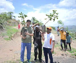 Tree Planting Activity